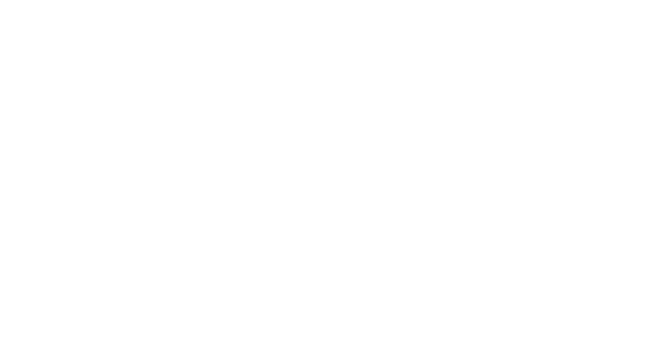 Brasserie Twins